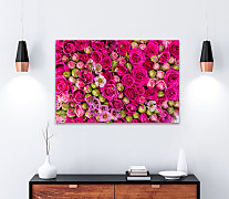 Obraz Bed of roses 1587